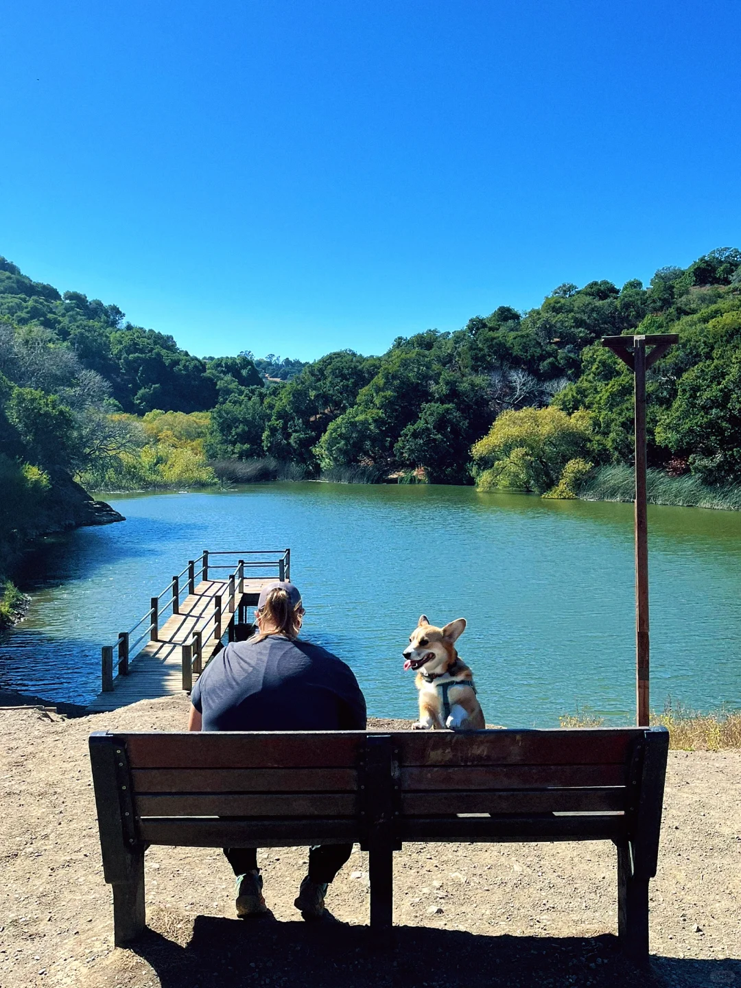 Bay Area Hiking | Hidden Canyon: A Hidden Gem Dog Park for Your Furry Friends