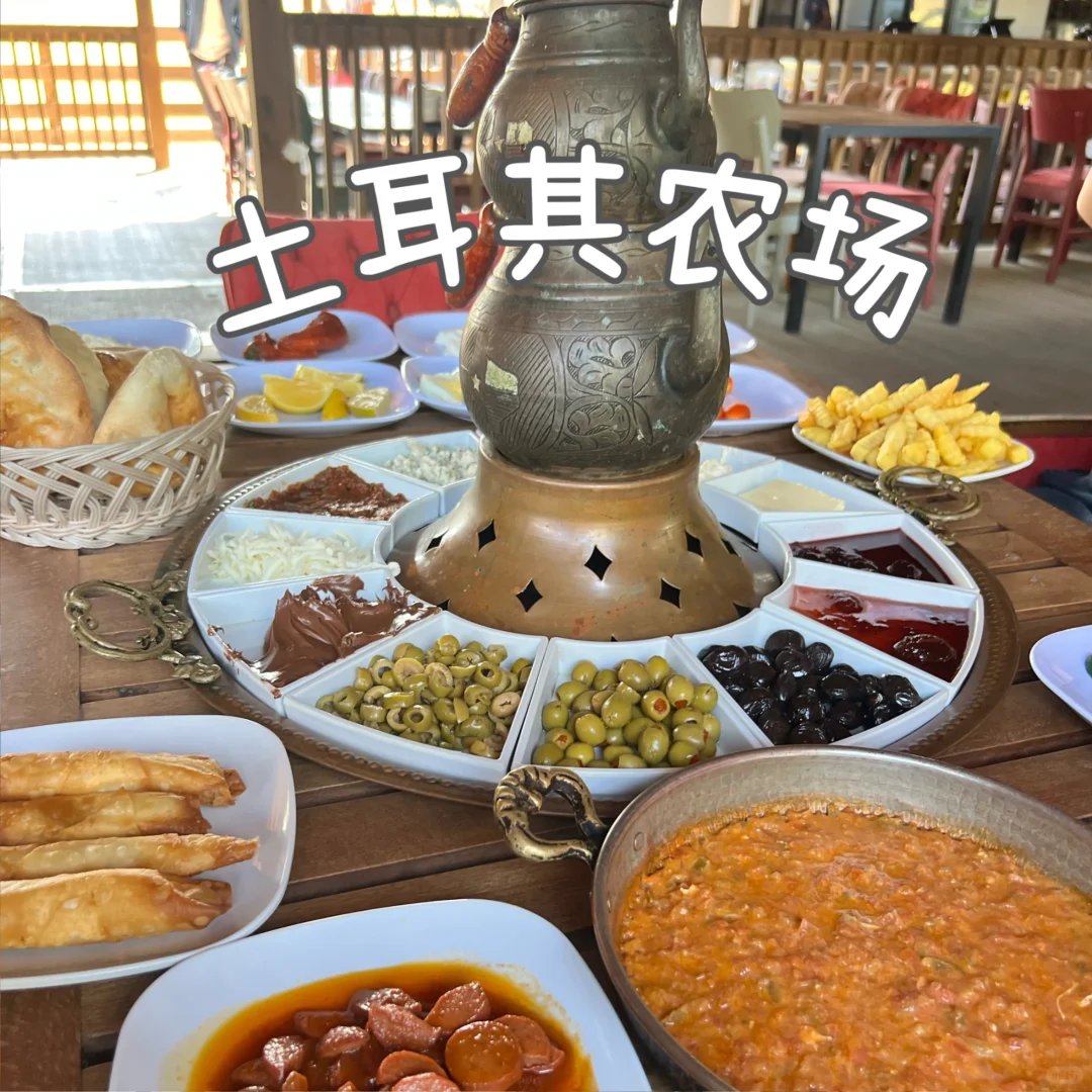 Houston | Turkish Farm—Think Twice Before You Visit