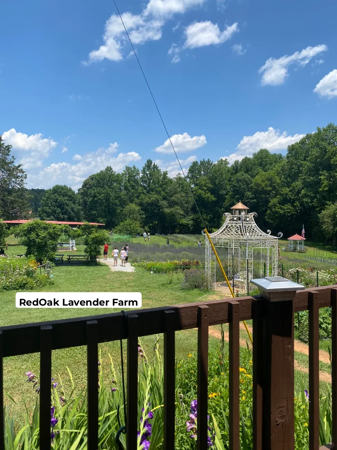 Day Trip from Atlanta: Exploring the Charming American Retro Town of Dahlonega