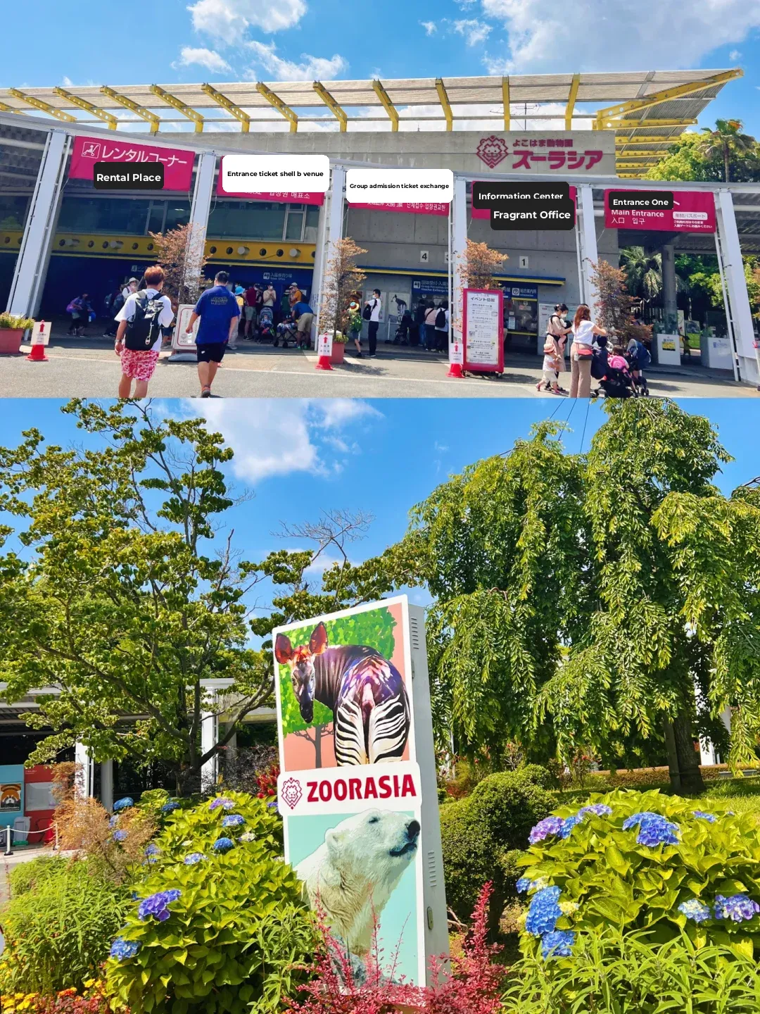 Top Weekend Getaway in Tokyo: 🦓🦓 Yokohama Zoo 🦓