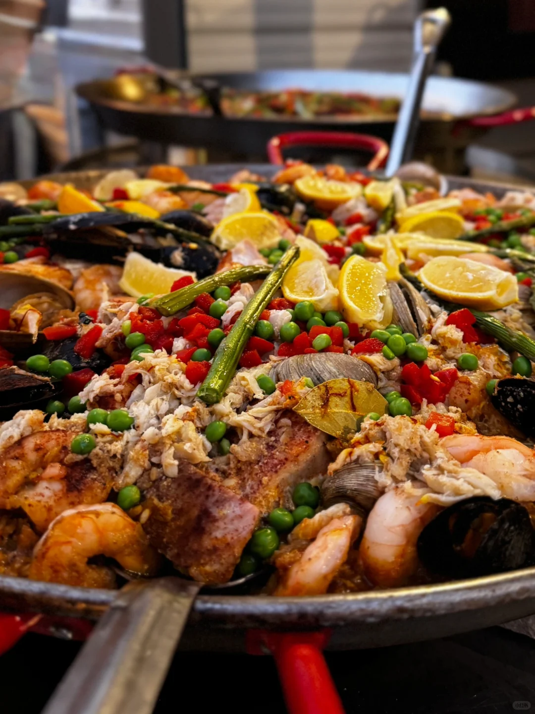 Tampa｜12 Years After the Gaokao 🍖 I’ve Become Florida’s Ultimate Foodie King 🤩