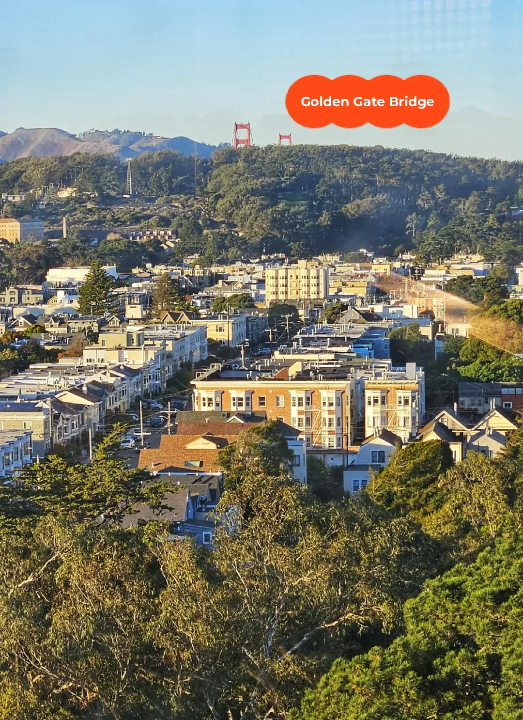 Golden Gate Park's Free 360° Viewing Platform