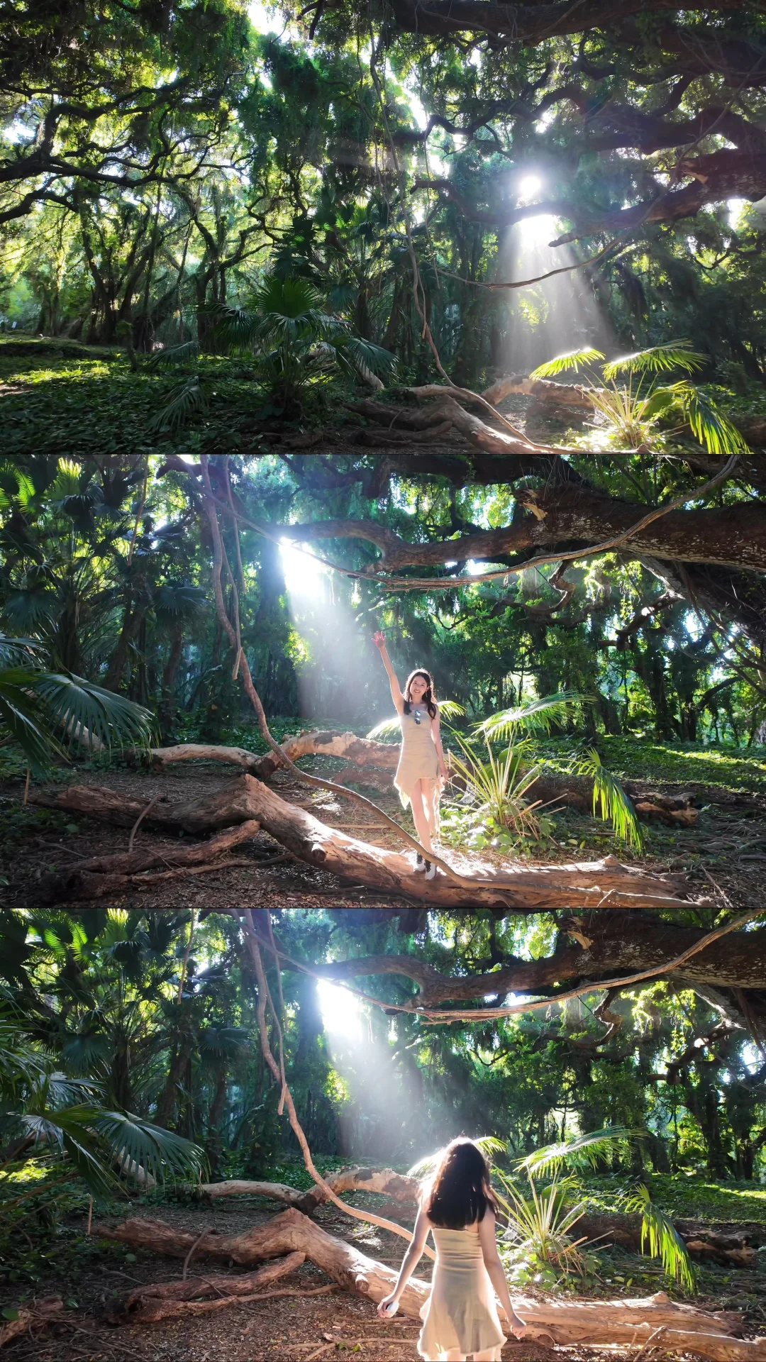 Look! I’m Glowing!!! Stumbling Upon a Breathtaking Paradise in Maui, Hawaii