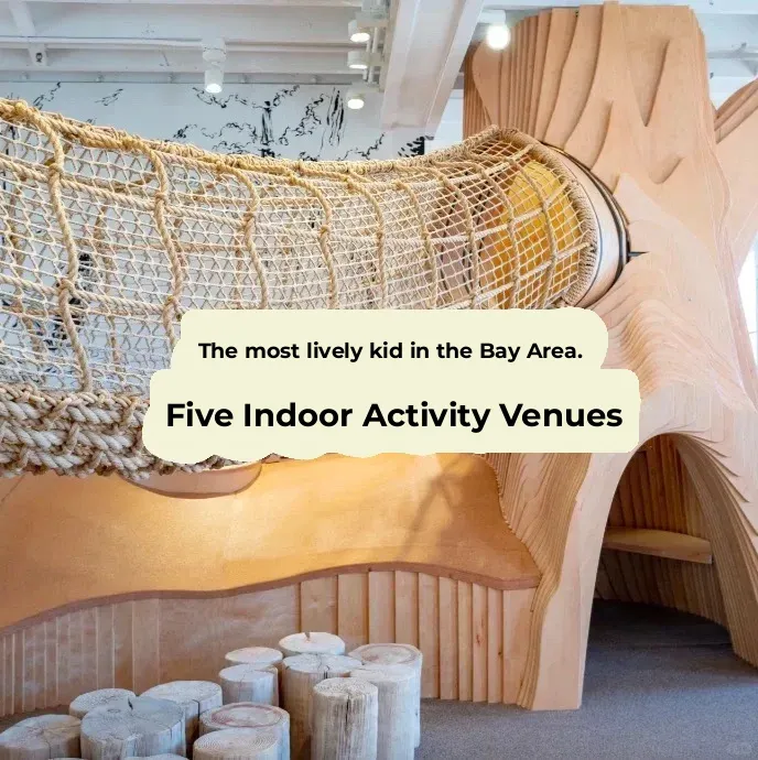 Top 5 Indoor Play Spots for Kids in the Bay Area