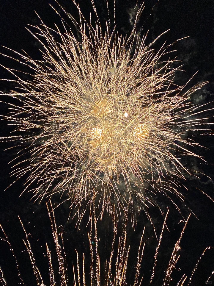 Seattle Family Fun - 4th of July Fireworks at Sammamish