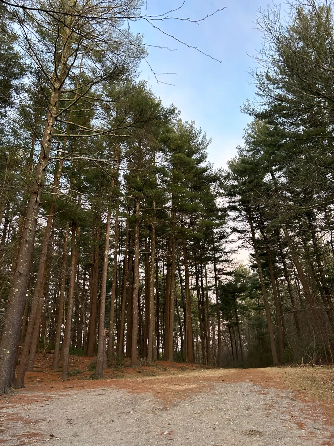 Hiking Recommendations Near Boston 🚶