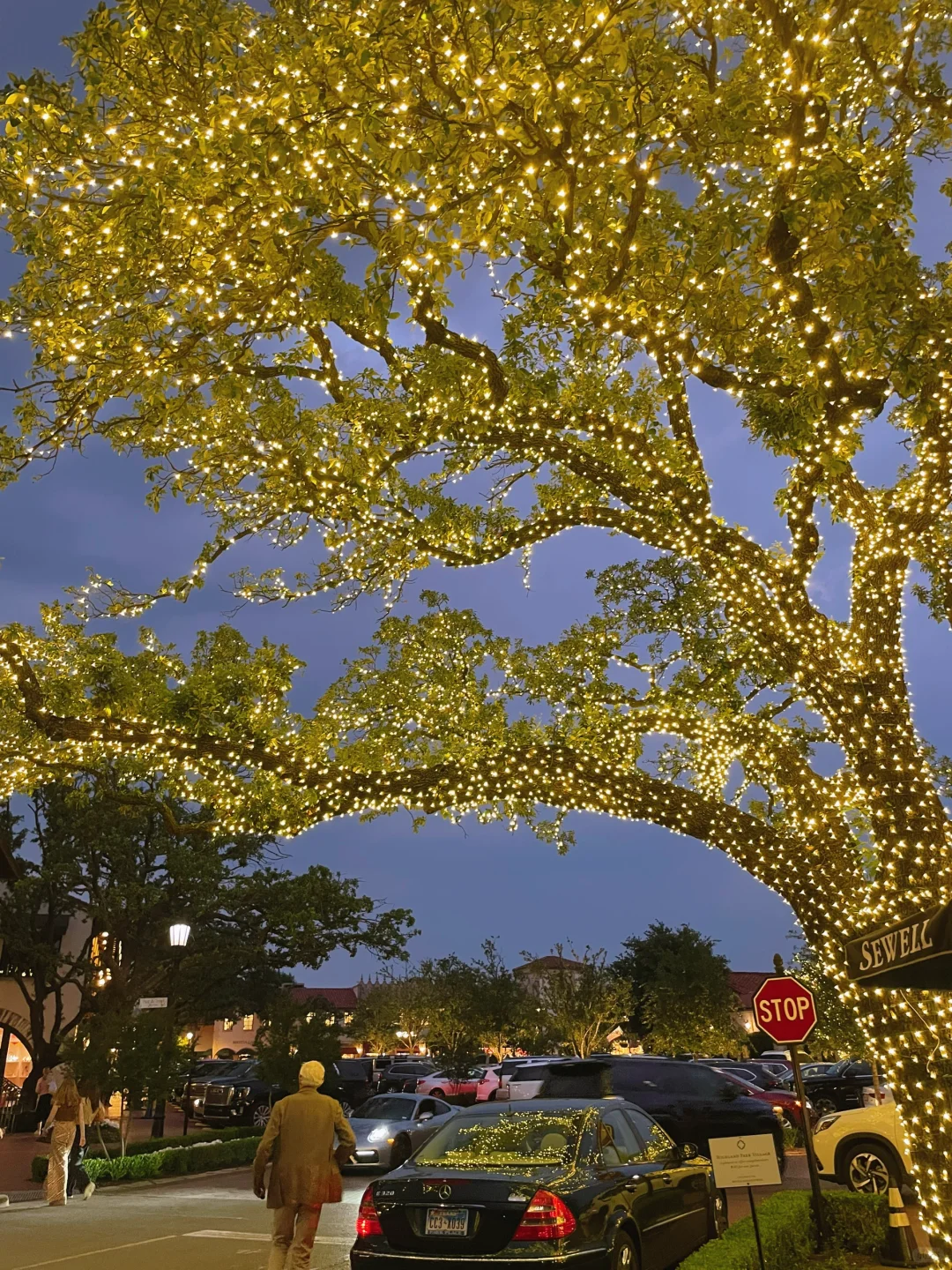 Dallas Date Night | Cafe Pacific