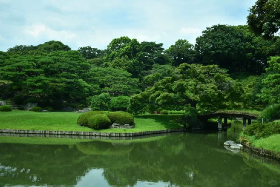 Top 8 Most Alluring Gardens in Tokyo! 🏞️