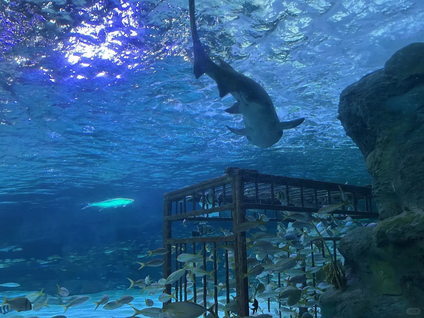 Travel Insights from Myrtle Beach, South Carolina