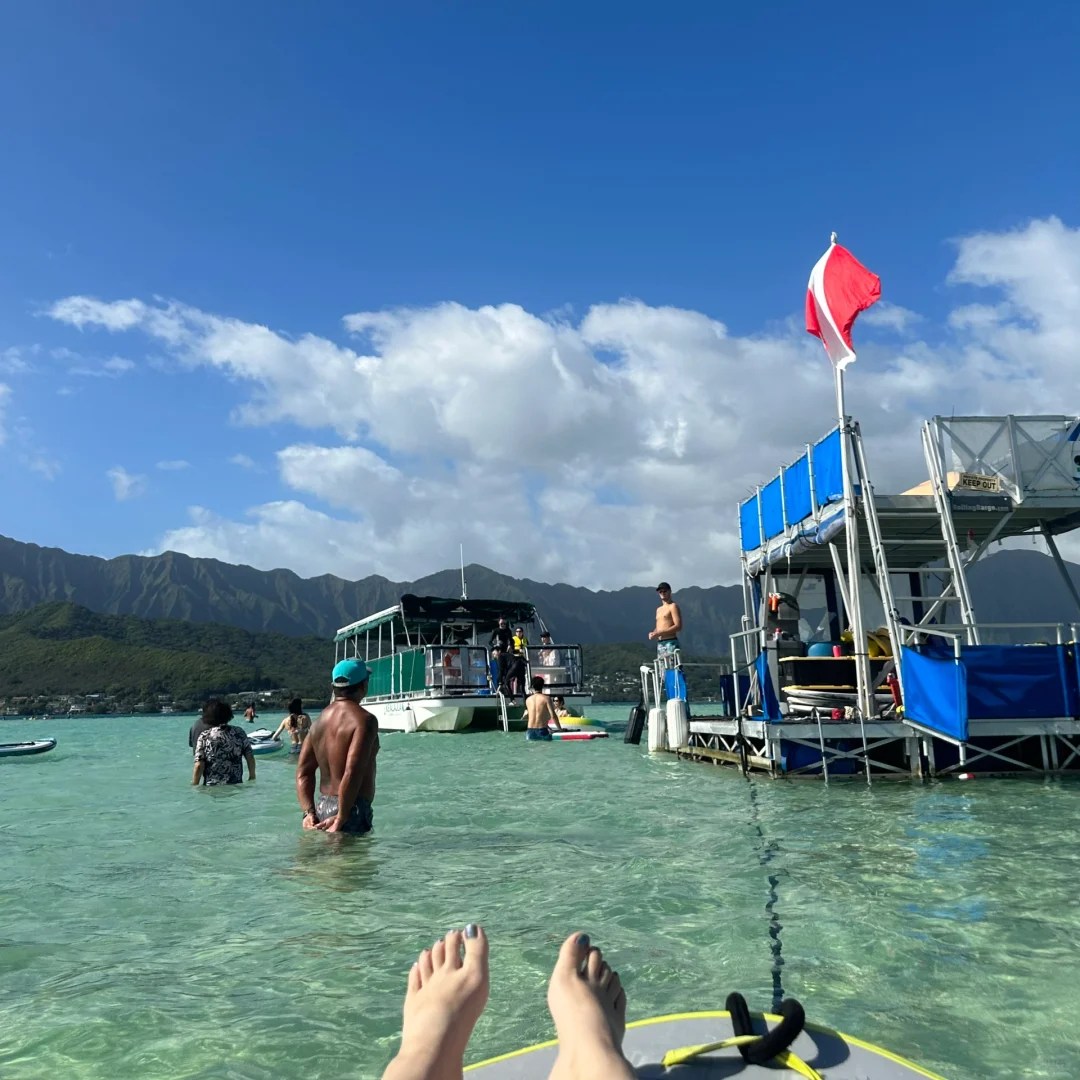 Hawaii Snorkeling 🤿 Edition (For Non-Swimmers)