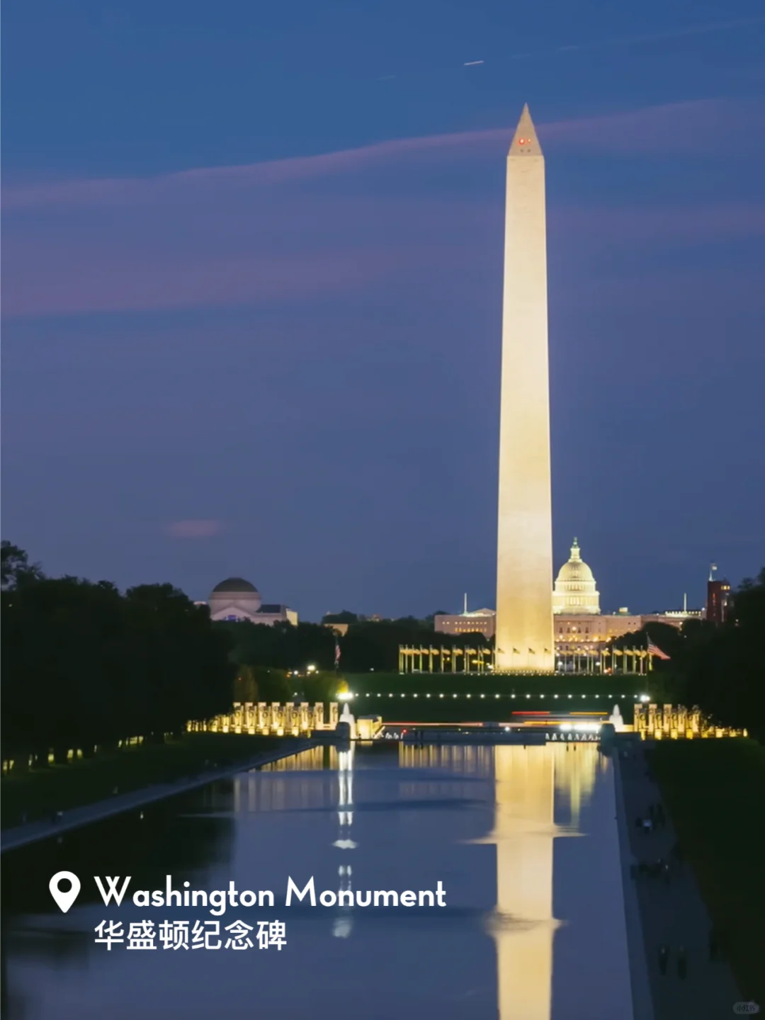 Night Tour of DC | A Magical Journey Under the Moonlight 🌙✨