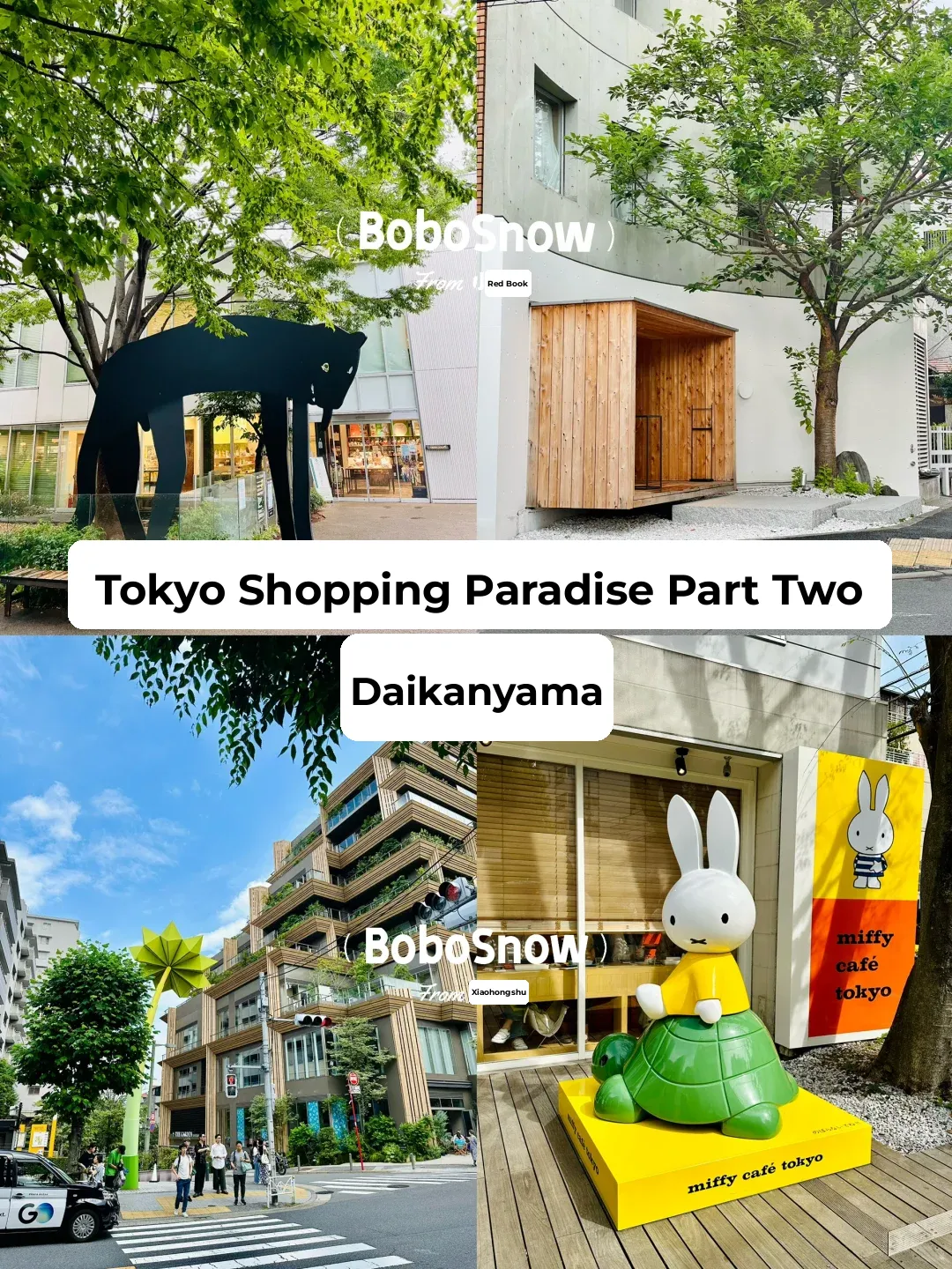 Tokyo Shopping Paradise Part 2 - Daikanyama