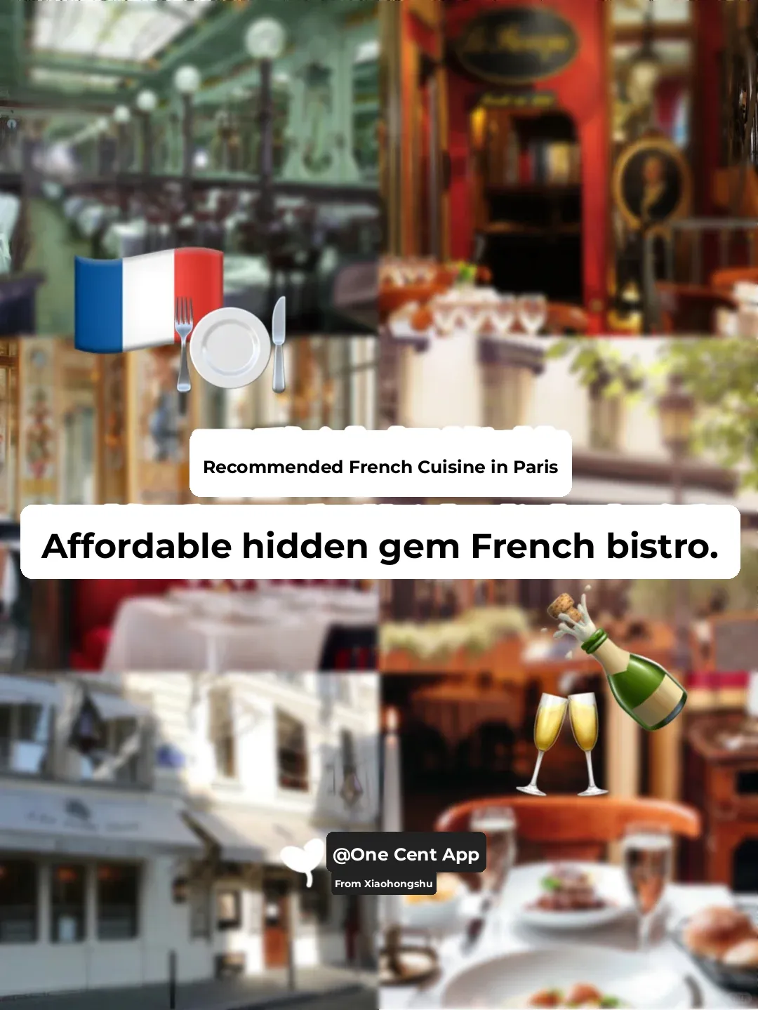 🇫🇷 Paris French Cuisine Picks | Budget-Friendly Hidden Gem Old-School French Bistro