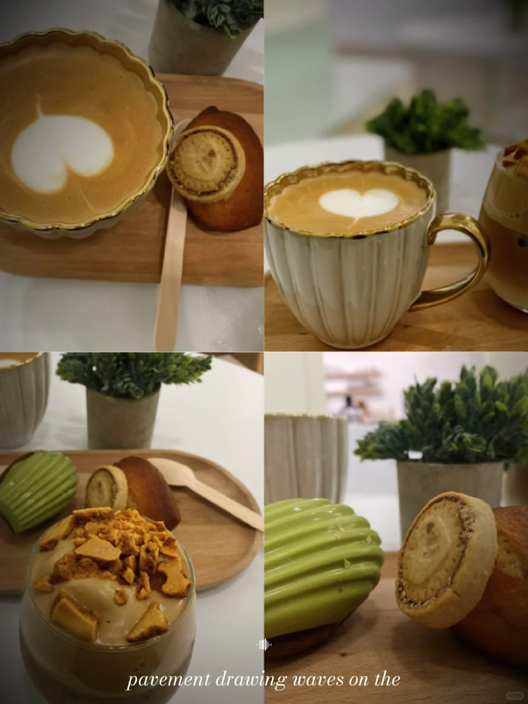 Coffee Shop Stop in Charlotte, NC: Little Madeleine