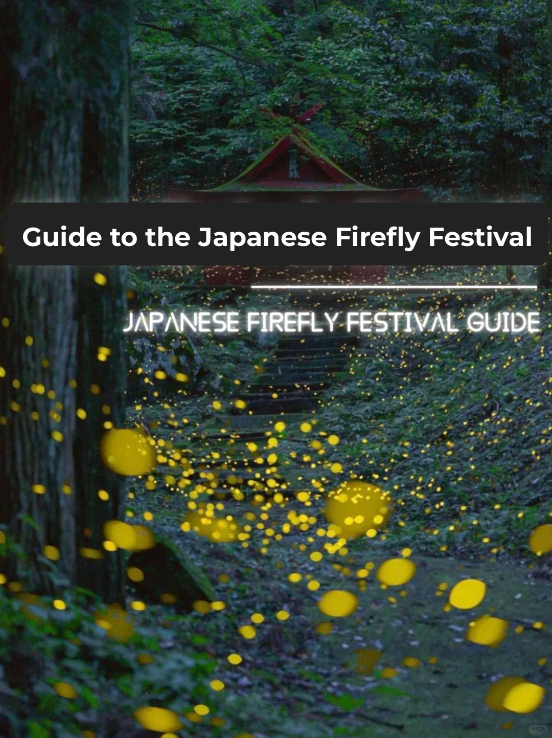 Lighting Up Summer Nights with Fireflies | 2024 Firefly Festival Complete Guide