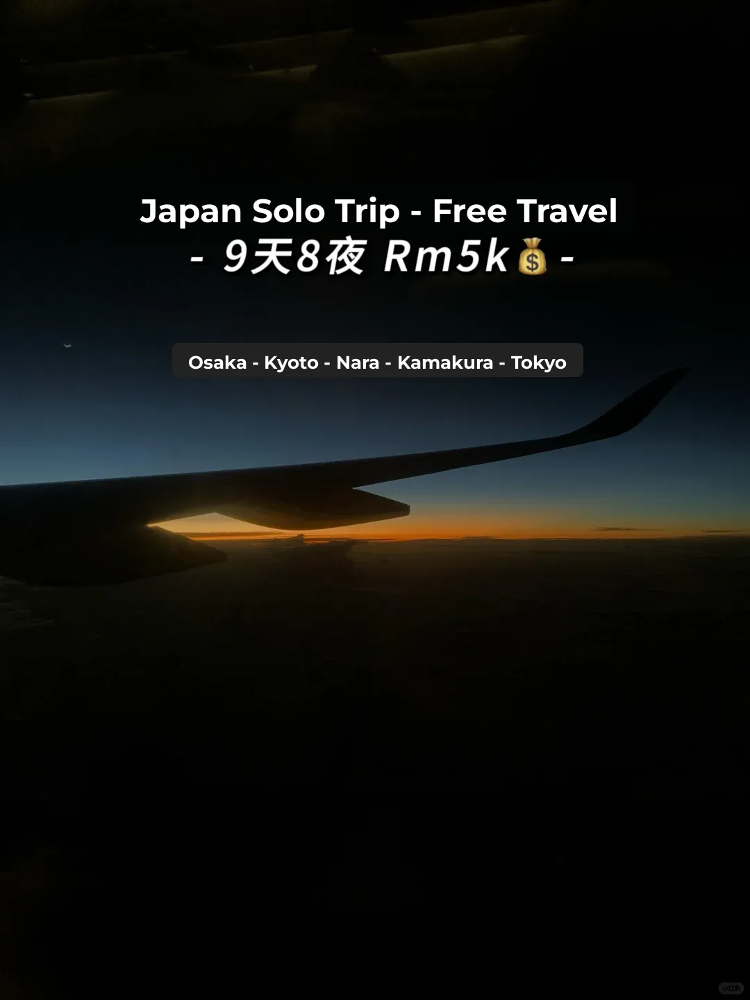 🇲🇾🇯🇵 9-Day Japan Solo Trip: Budget Breakdown 💵