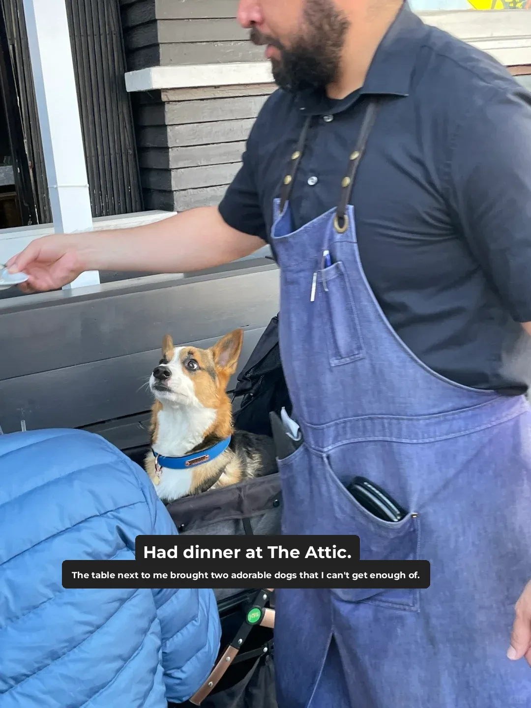 Los Angeles Weekend Plog🧩 | A Day Trip to Long Beach