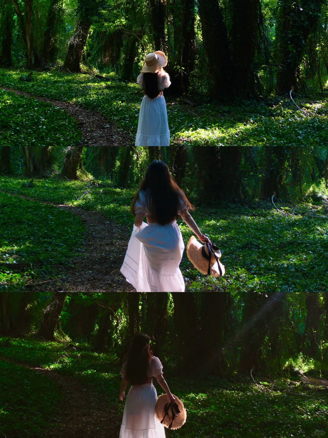 Maui｜Enchanted Forest Adventure₊⁺🌳₊⁺🪵⋆⁺₊ 🍃