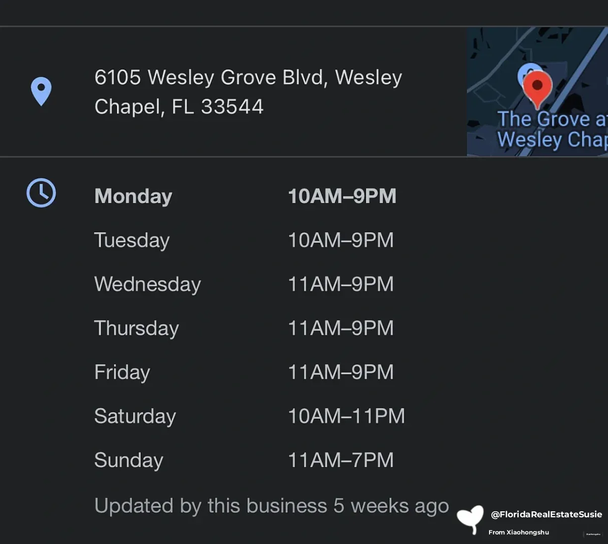 🔸Fun Recommendation🔸 North Tampa