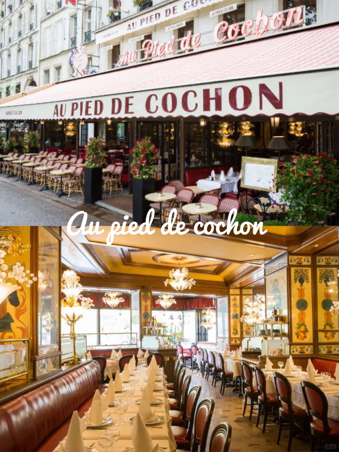 Paris 1st Arrondissement | 5 Hidden Gem French Restaurants to Try! ‼️Vol.1