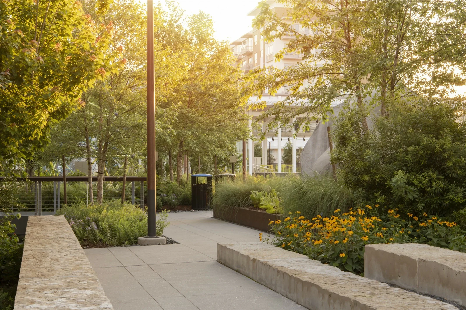 A Park Designed to Withstand Extreme Rainfall from Hurricanes!