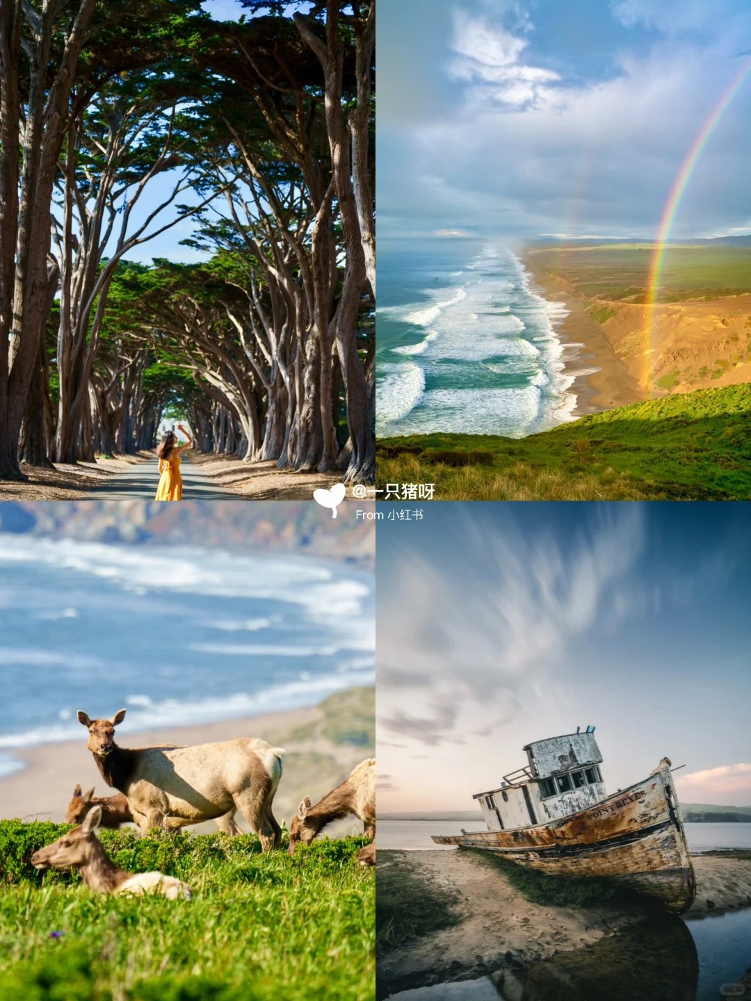 California's Highway 1: Point Reyes, the End of the Earth