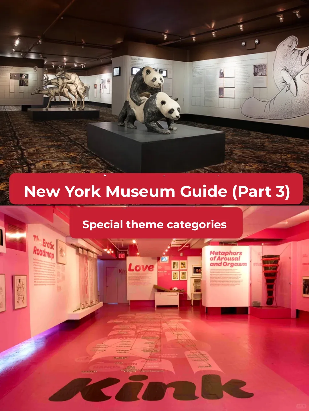 🔍 Uncovering NYC's Most 💯 Unique Themed Museums