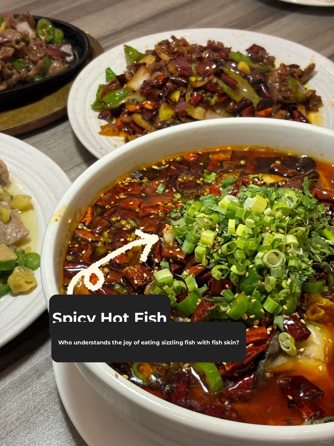Sichuan Cuisine Pavilion | The Ultimate Choice for Authentic Sichuan Food in Houston 😋