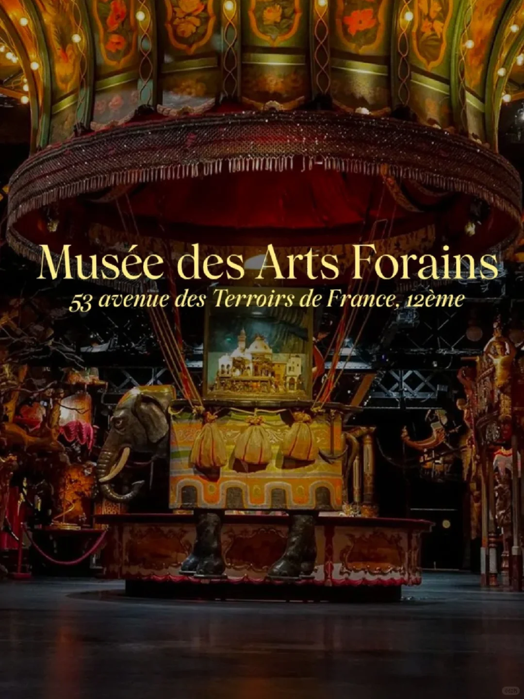 Not for the Faint-hearted 👁️ Five Offbeat Cult-Style Museums in Paris