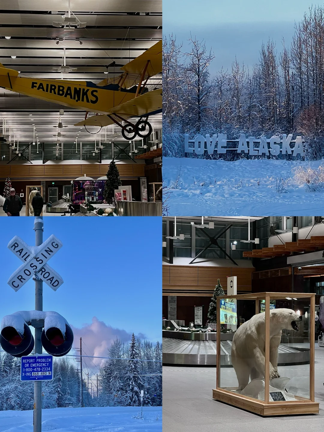 Kicking Off My Fairbanks Adventure with the Northern Lights 🔛