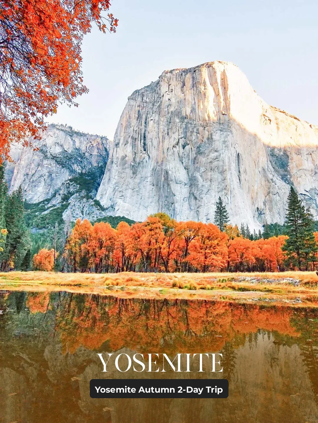 San Francisco & Yosemite Fall Foliage Guide: Discovering California’s Hidden Autumn Paradise