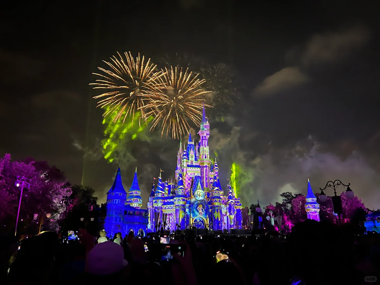 Orlando｜Disney World: The Best and Worst Rides in the Three Main Parks❗️ Part 1