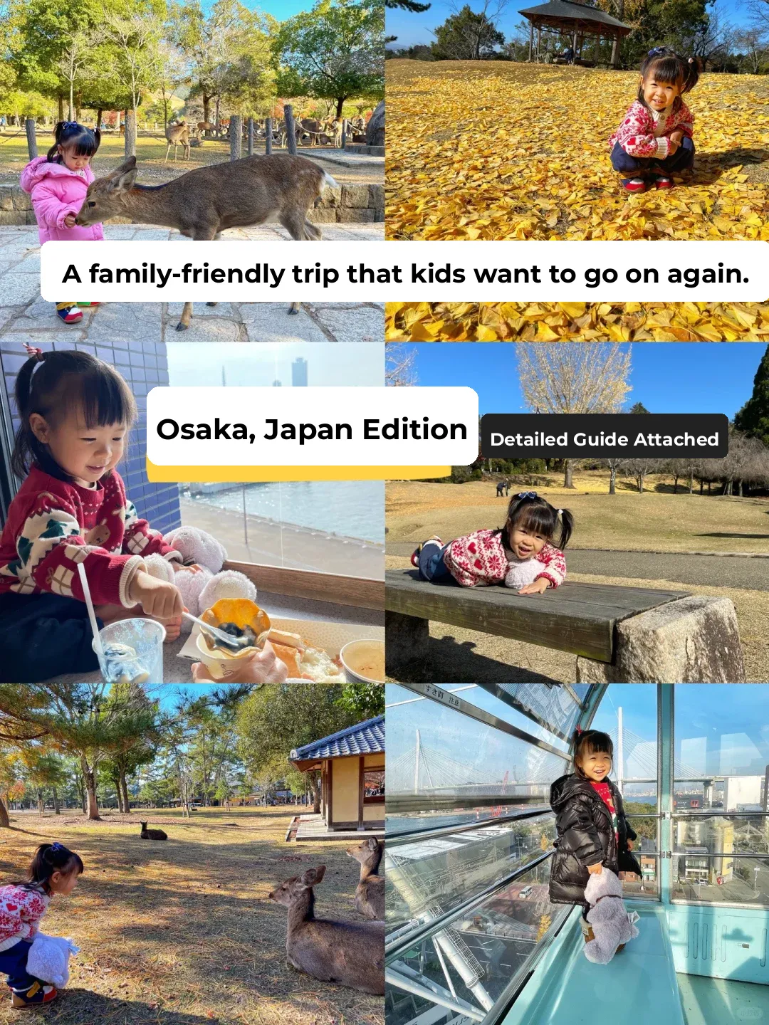 Family Travel | Exploring Japan with Kids: Osaka Edition | With Guide