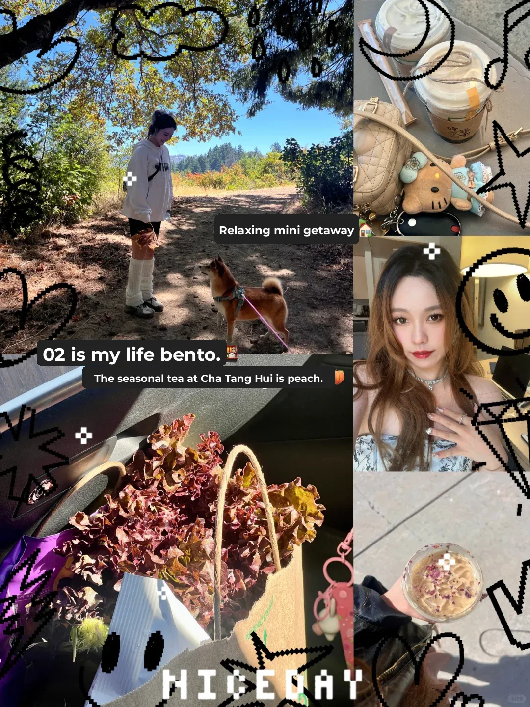 Bay Area | Staycation Hiking Again, O2 is Life's Bento