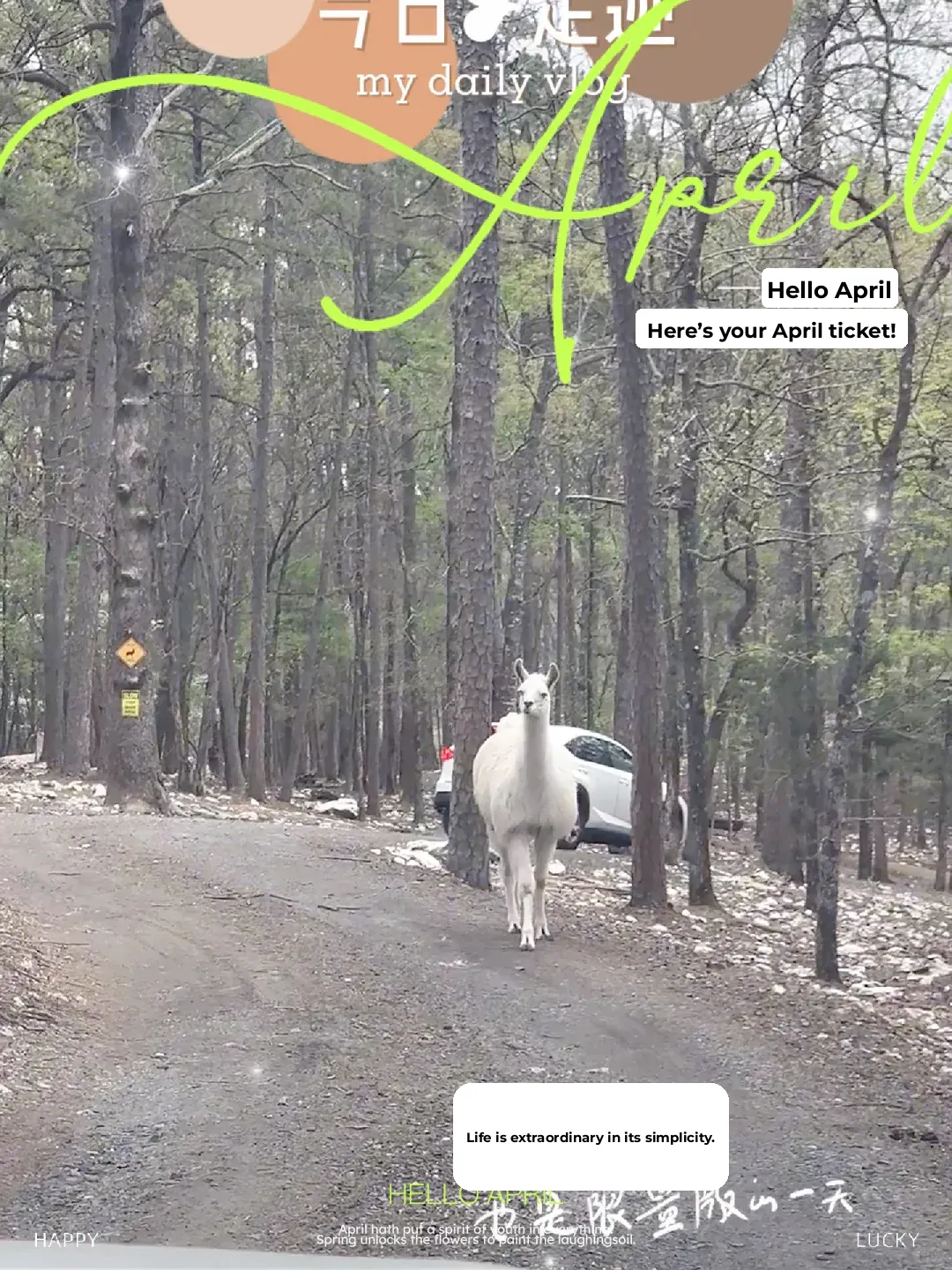 Dallas Getaway: Exploring Oklahoma (Part 3)