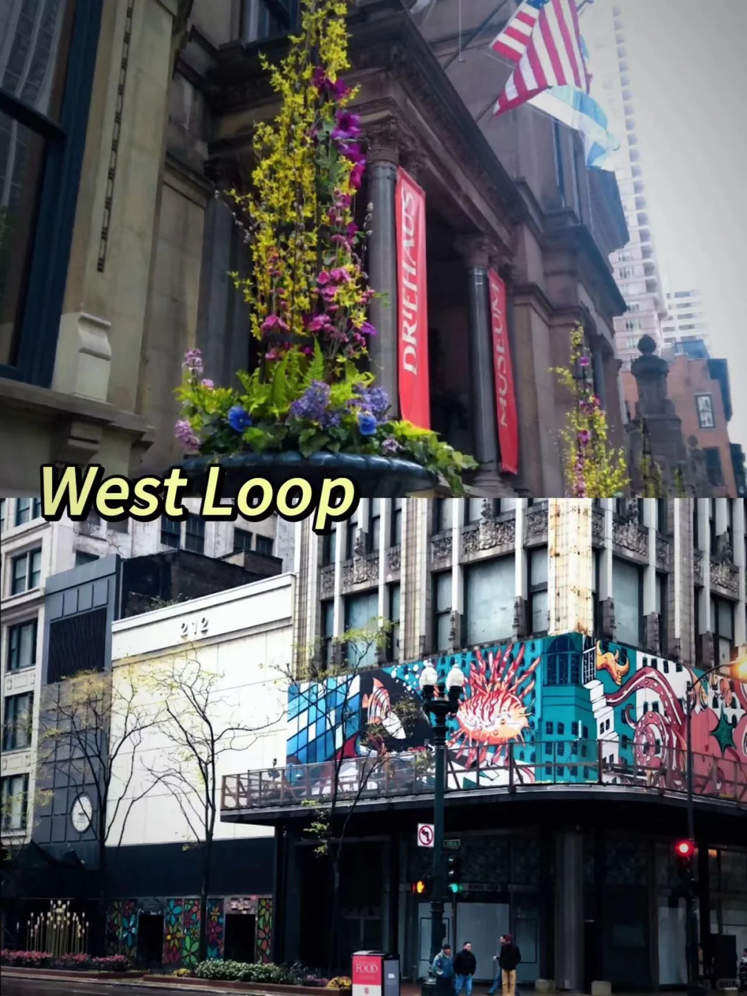 What to Do in Chicago? Sharing the Classic Itinerary for Showing Friends Around the Windy City