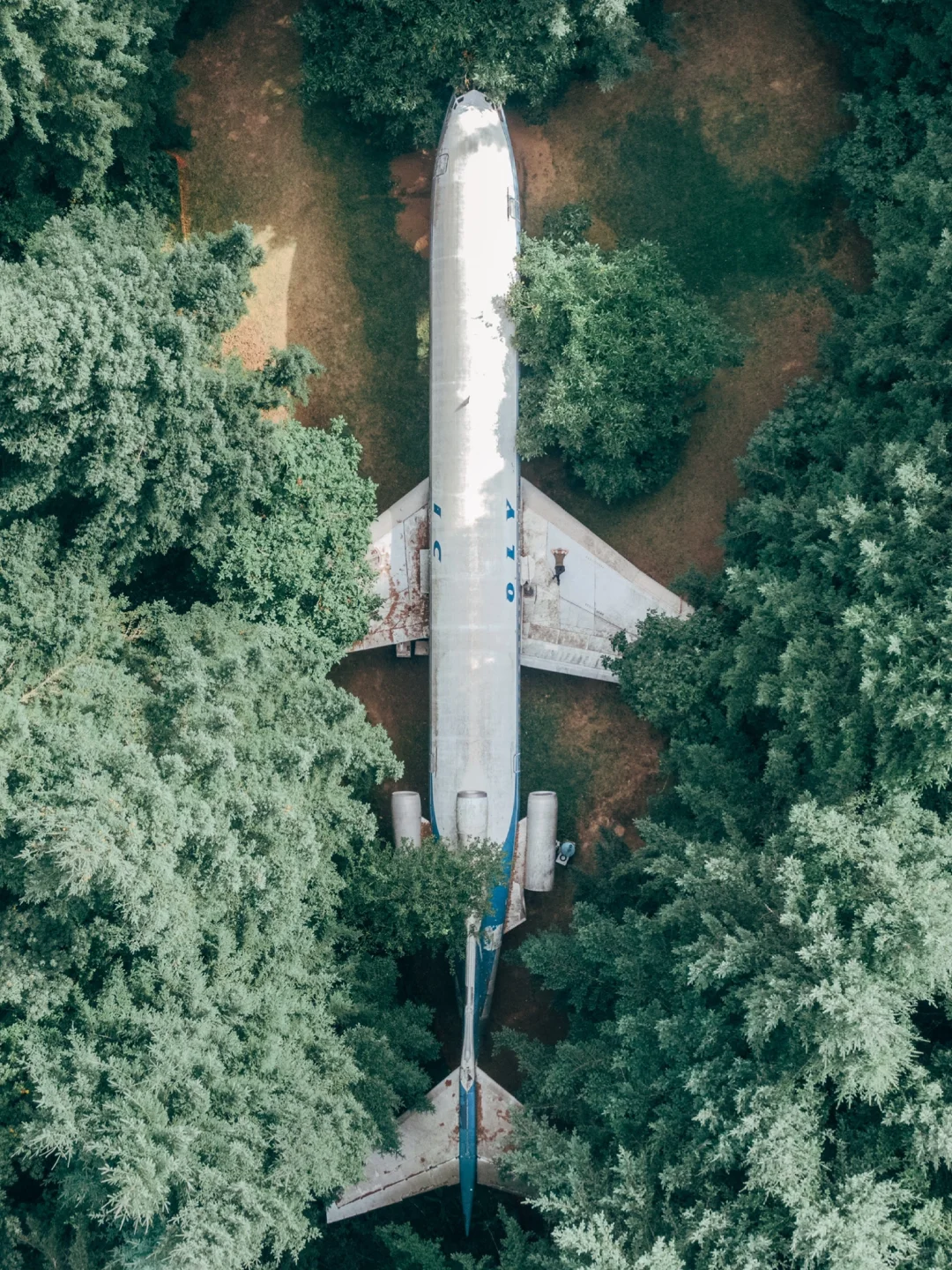 Turn an Airplane into a Home!