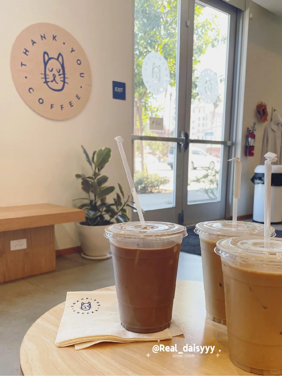 Los Angeles 💙 The Most Adorable Cat-Themed Café 💙
