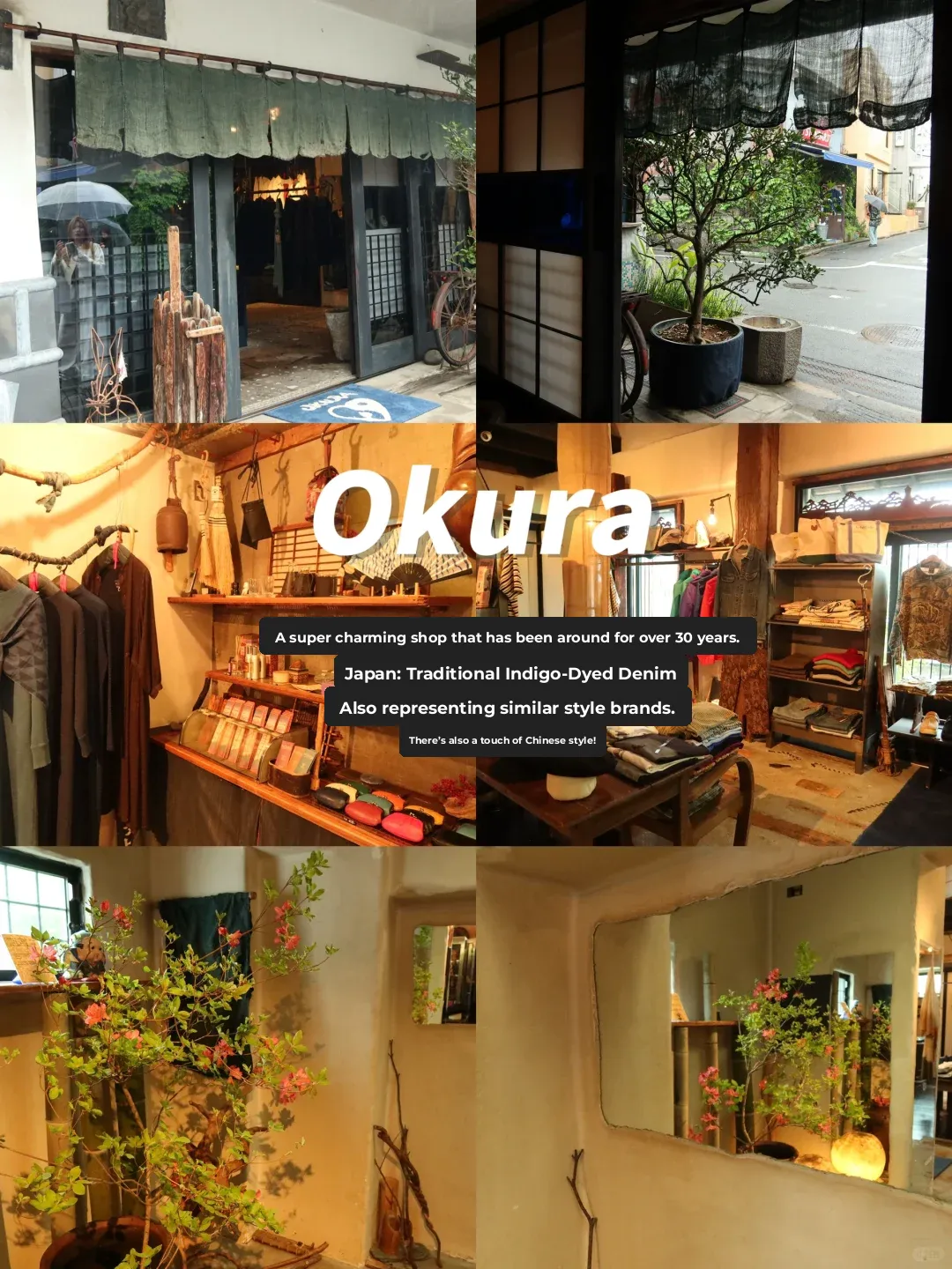 🇯🇵 Tokyo | Daikanyama Citywalk: Hidden Gems & Must-Visit Brands