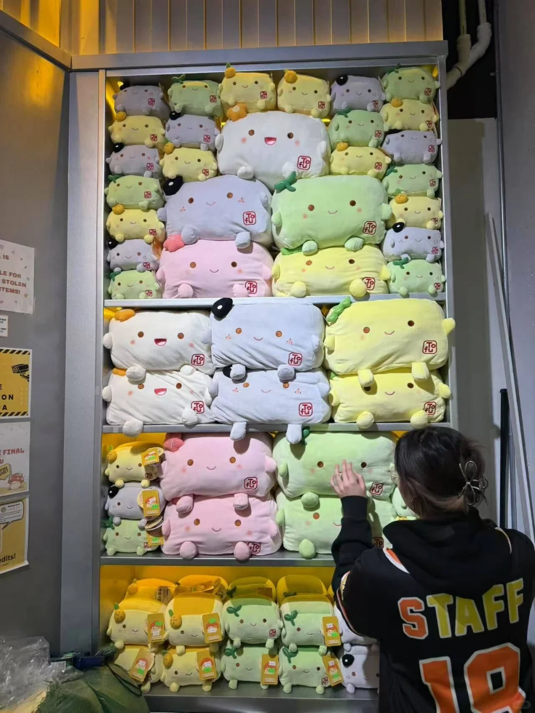 Can You Really Win Tofu from a Claw Machine? Tofu Lovers, Check This Out!