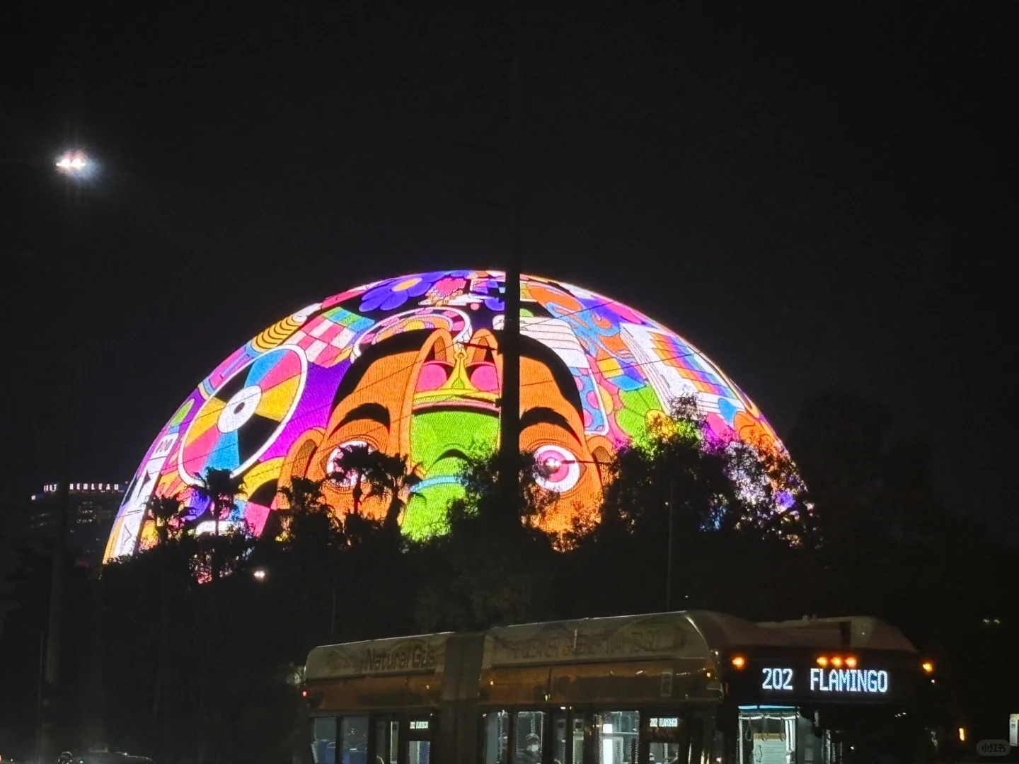 🇺🇸 Las Vegas "Zero Dollar" Adventure