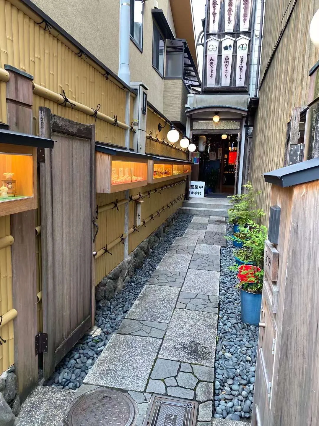 A Day in Arashiyama with Three Little Monkeys: Kyoto English Tour Guide Adventure