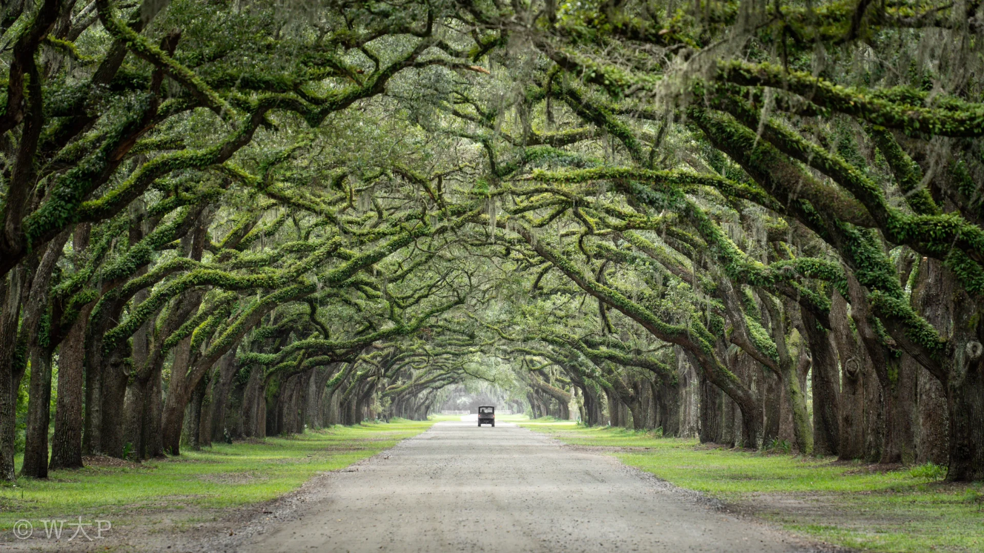 Documenting a Southern Journey: Atlanta, Charleston, and Savannah