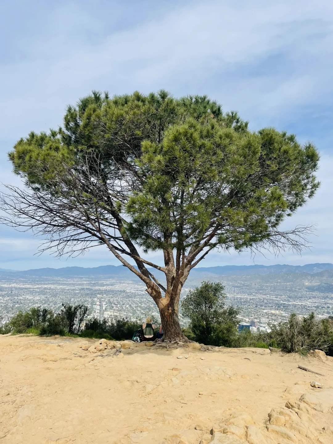 Hollywood Sign Hiking Guide