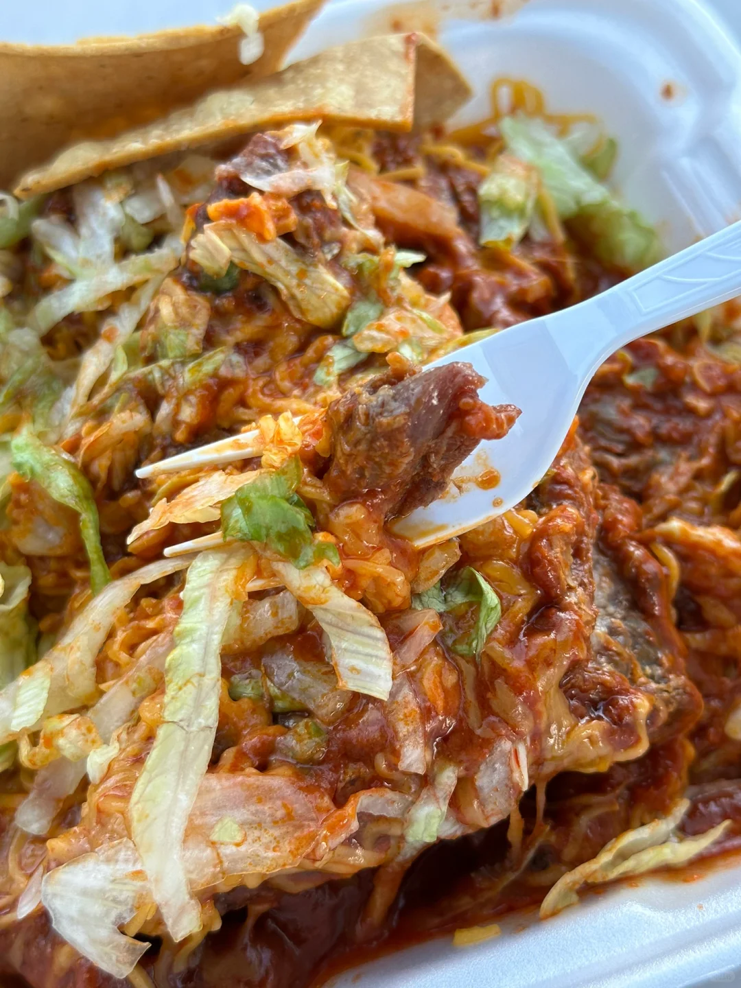 New Mexican Cuisine 🌮️ Is Delicious but There’s Just So! Much! Of It!