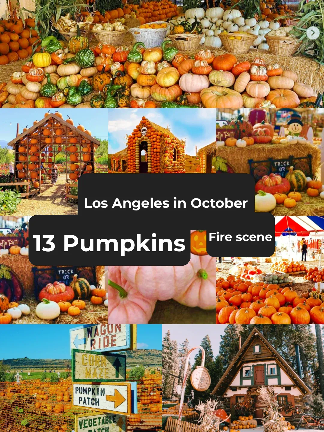 🇺🇸 Seize the Fall: Top 13 Pumpkin 🎃 Farms to Visit