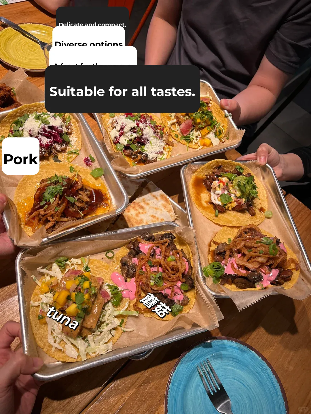 Bay Terrace, New York | AVO TACO | Mexican Tacos