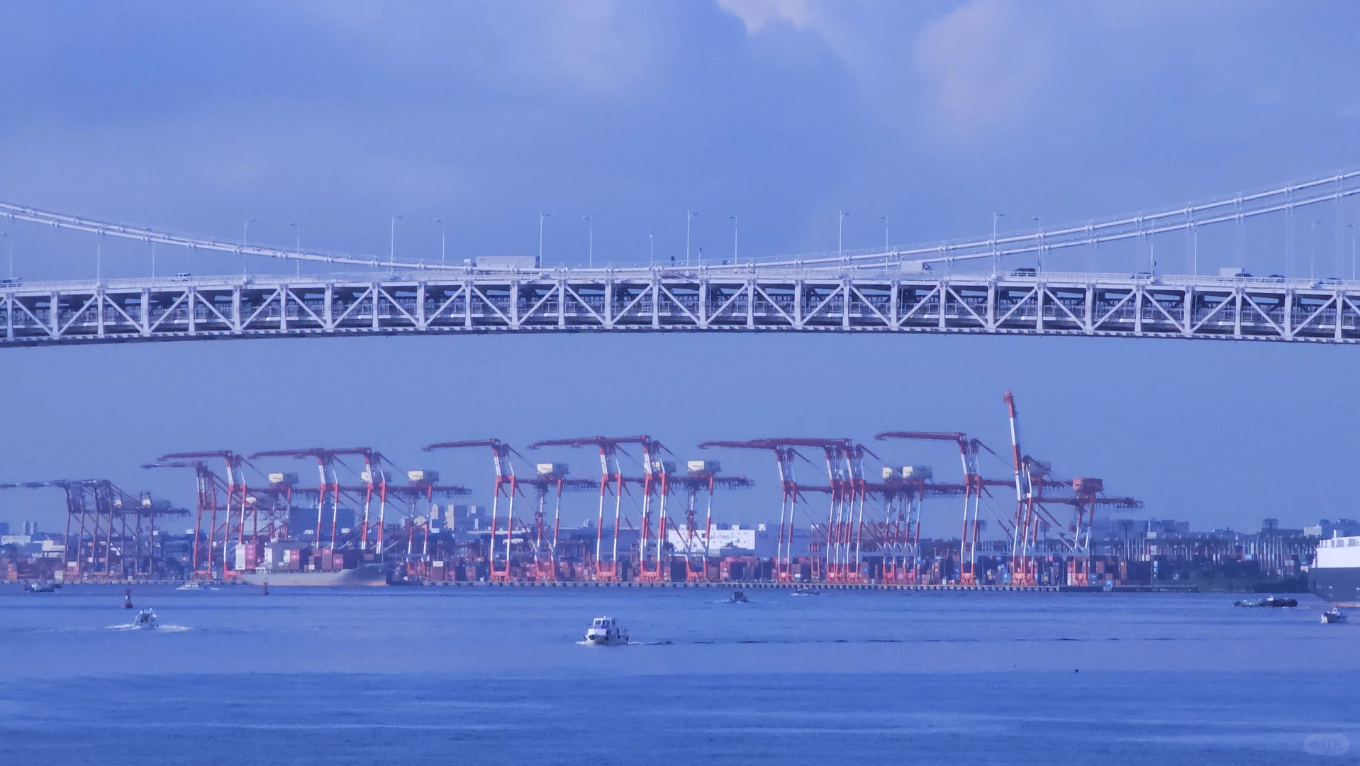 Day 4 in Tokyo: Morning Stroll at the Seaside Promenade Park