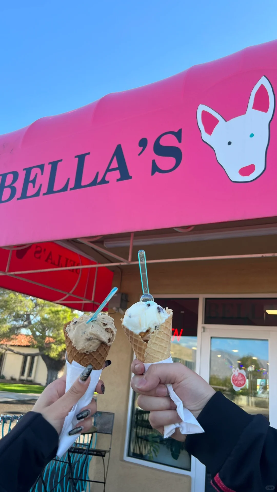 Tucson Eats | Delicious Ice Creams at Bella & Frost