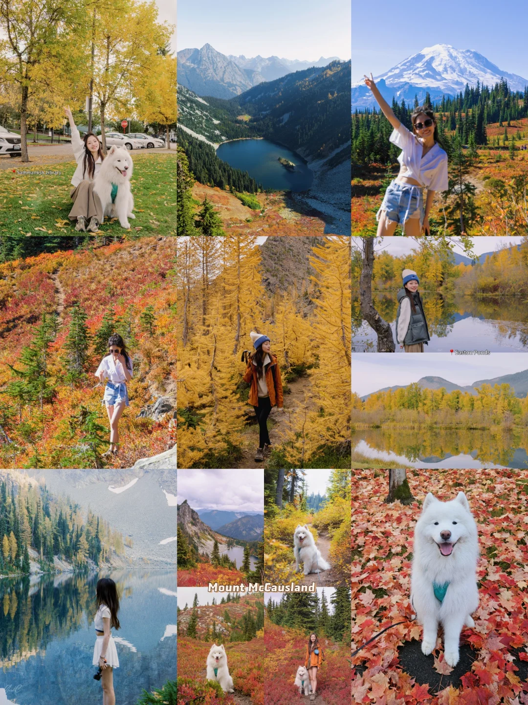 2024 Seattle Area Fall Foliage Guide